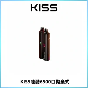 KIS5WAGOO哇酷6500口拋棄式 | 自由混搭雙口味 | 雙芯組合